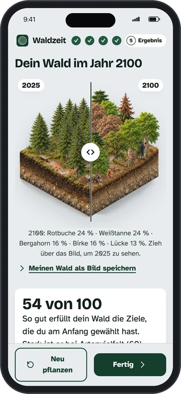 Waldzeit auf dem Handy: Ergebnis mit dem eigenen Wald im Jahr 2100