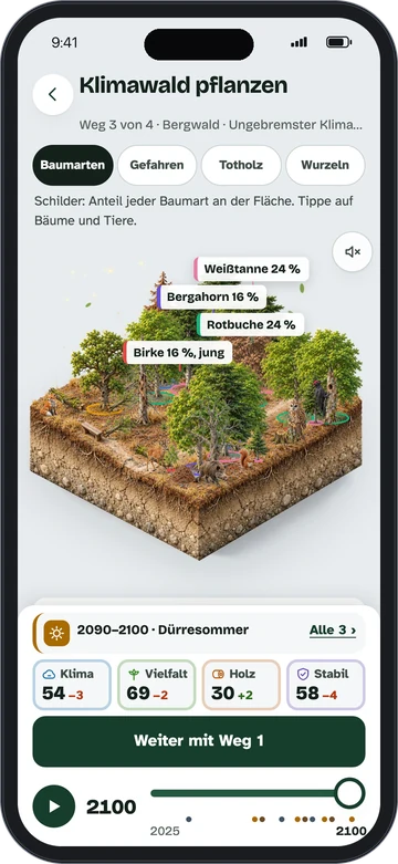 Waldzeit auf dem Handy: Zeitreise mit Baumarten, Kennzahlen und Zeitregler